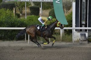 GIORKATSOS 10.4.24 STK6810