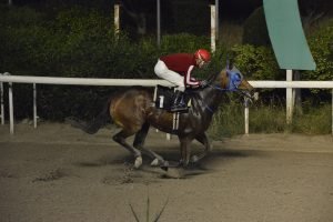 KING FILIPPOS 10.4.24 STK6880