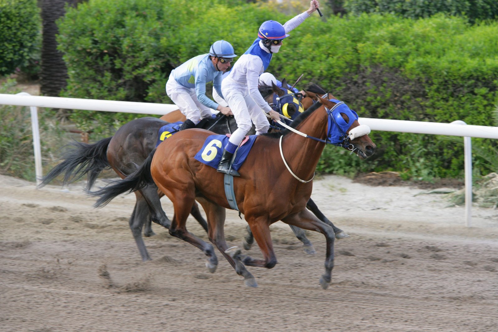 KOTSIOS REVENGER 9 100410 scaled