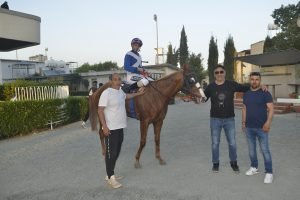 NIKOLAS THUNDER STK6675