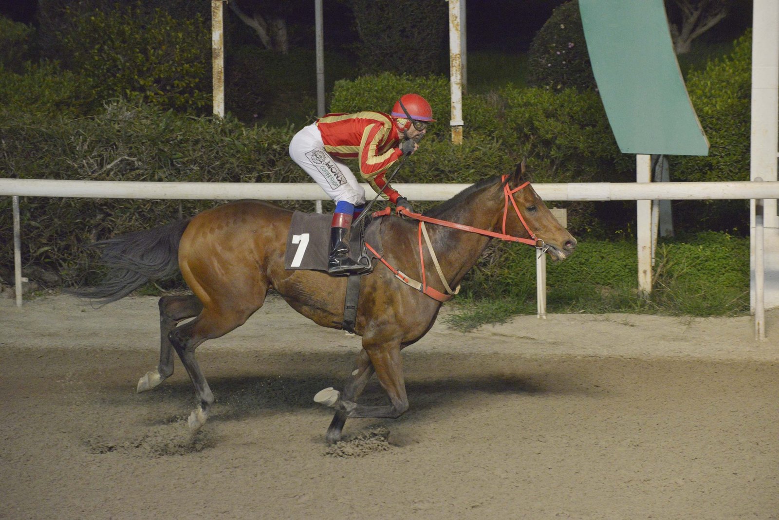 NTOUKA KAKIS STK4345 scaled