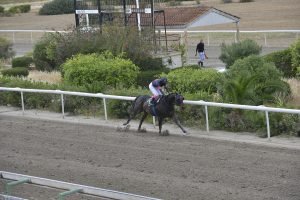 SEE THE GLORY 10.4.24 STK6793