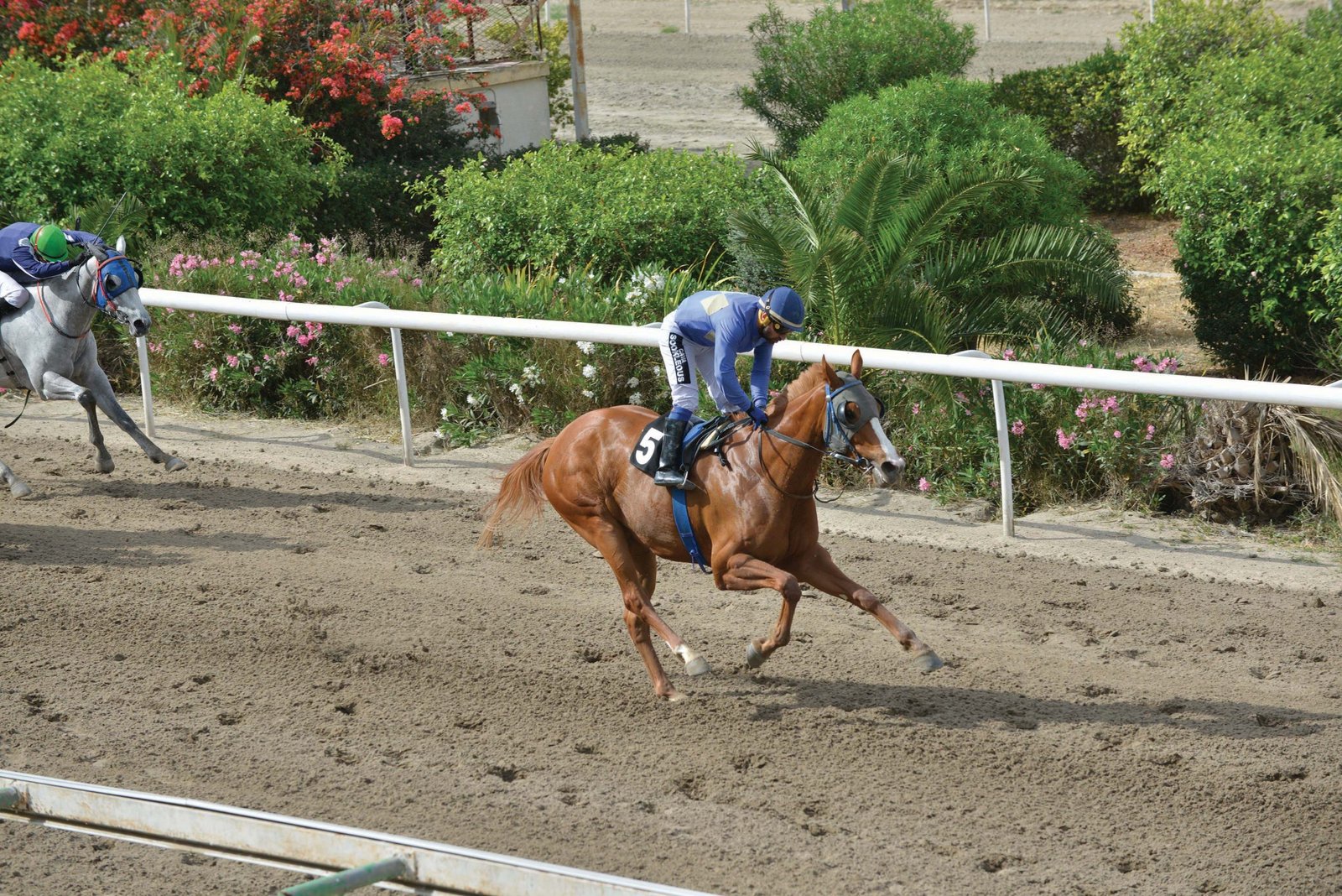 SPARTIATISSA STK7829 web scaled