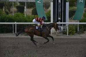 STORMY VICTOR 10.4.24 STK6841