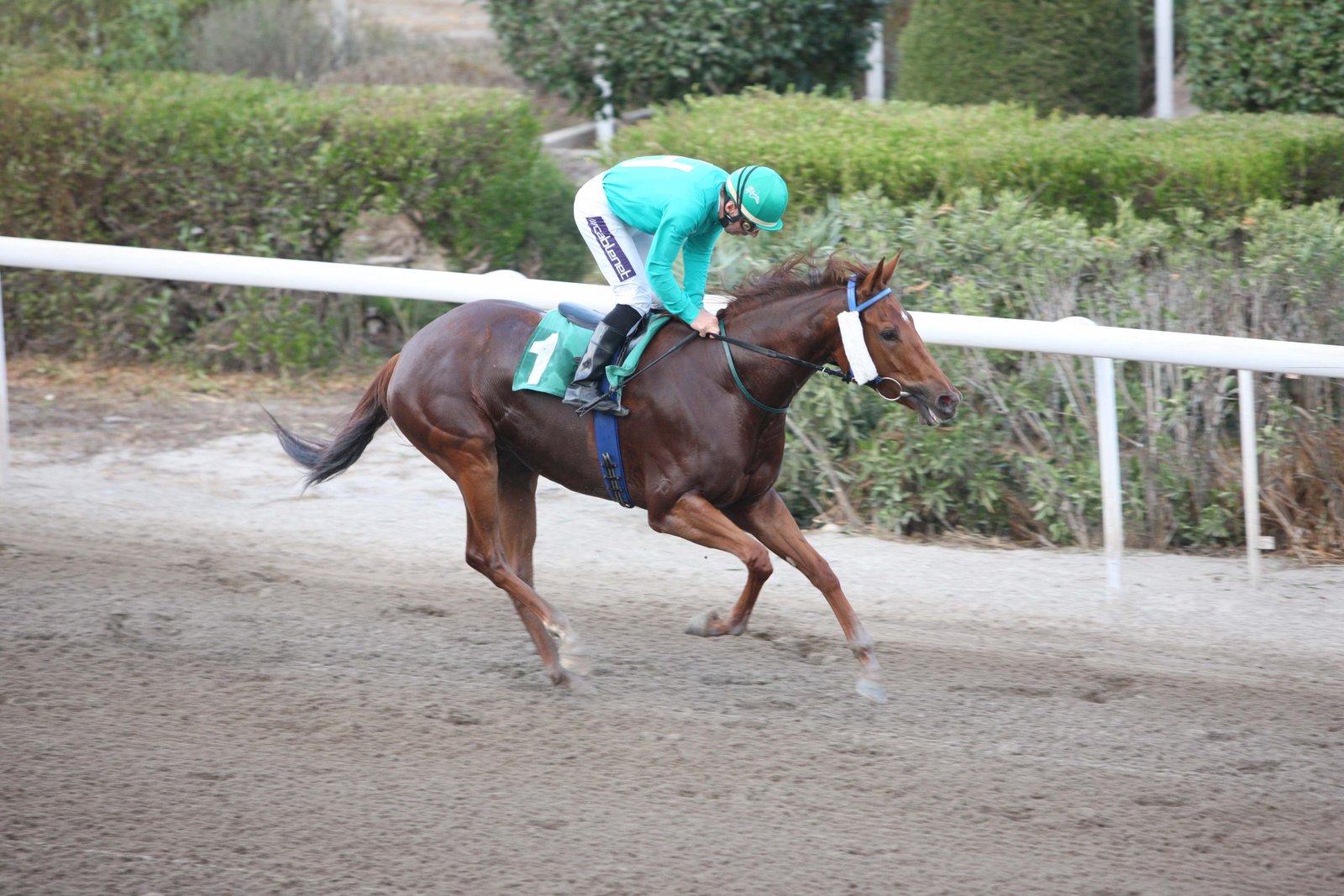 THALASSOFILITI 2 101113 scaled