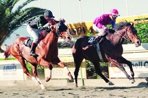 Eliass StLeger1994 2