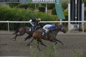 ΠΡΟΣΩΠΟ: Σε άνοδο ο στάβλος του Χρ. Πετρούτσιου 3 FIMONOE15.5.24 STK8381