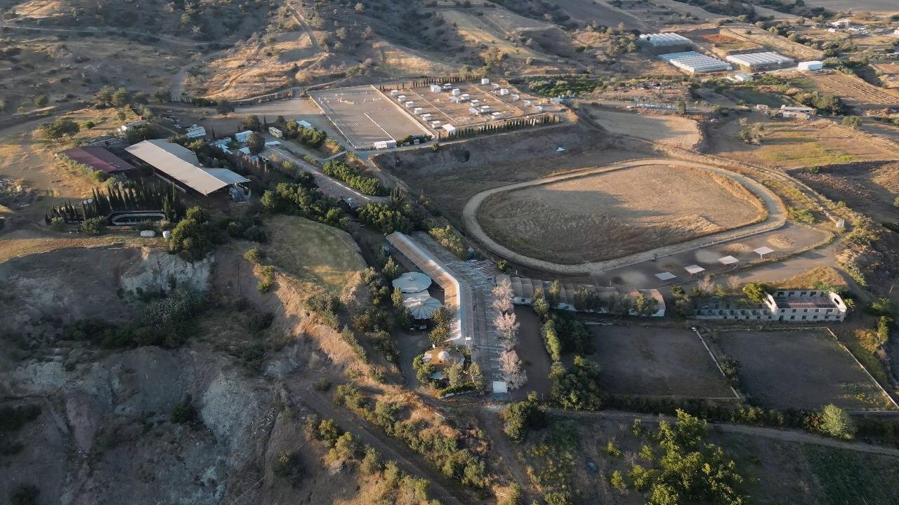 IMG 2a9591850557c9ea6b3fc2078d11b999 V