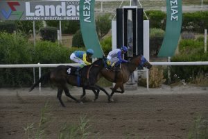 ΠΡΟΣΩΠΟ: Σε άνοδο ο στάβλος του Χρ. Πετρούτσιου 2 NAPOLI 15.5.24 STK8360