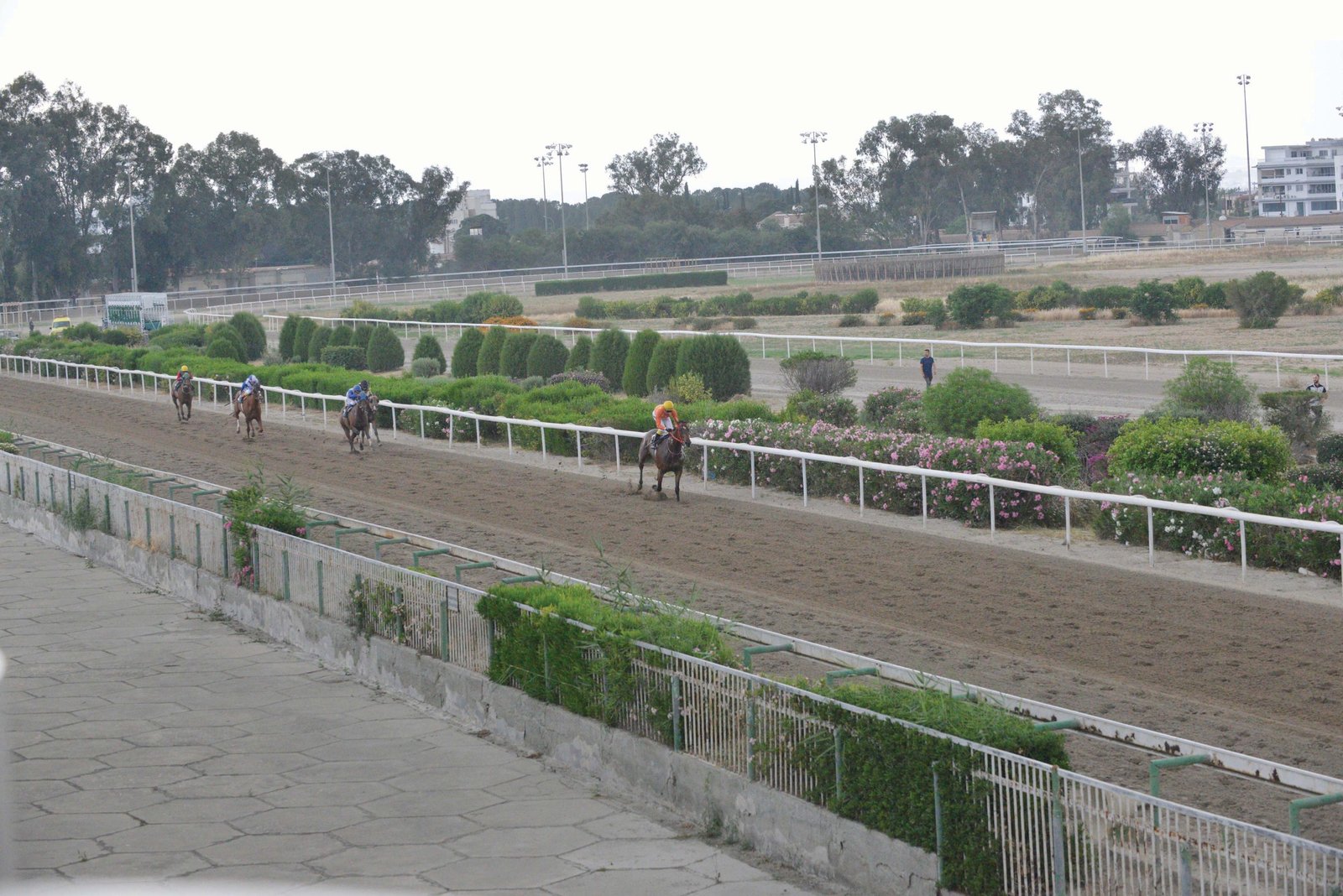 QUEEN IOAN95 WEB scaled