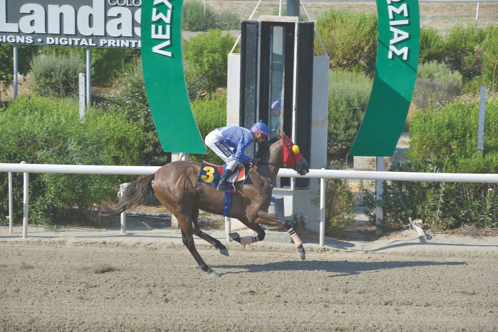 ROBIN STONE 3 100719