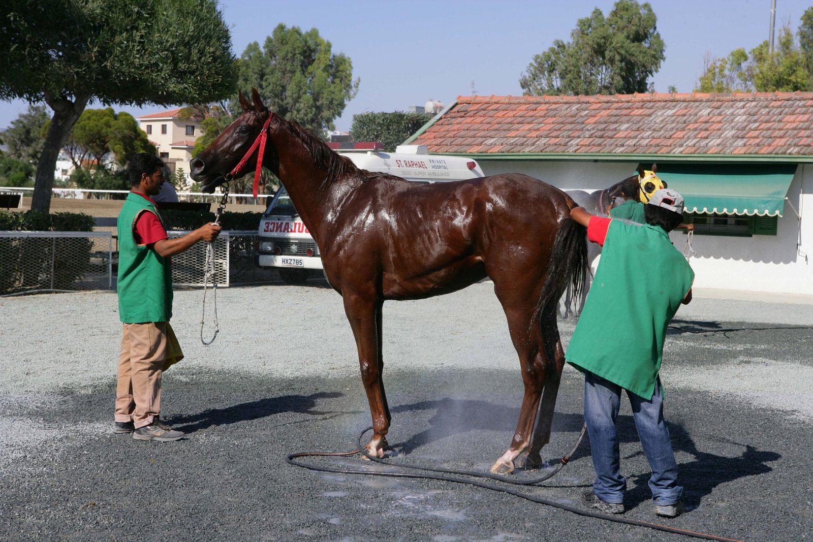 STAVLOI 1 240709 scaled