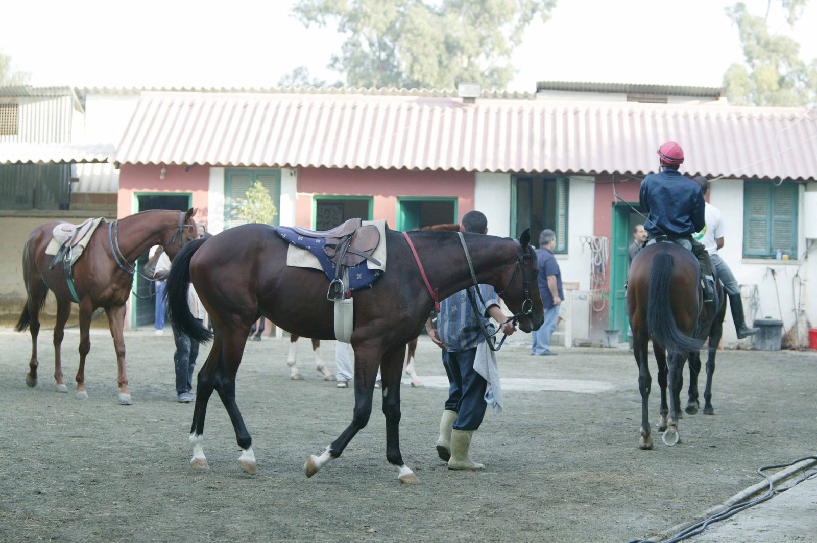 STAVLOI 11 181003 WEB scaled