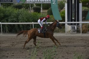 WHISPERING ANGEL STK8555