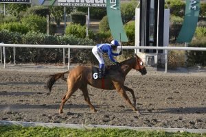 KAPETAN VAGGELIS 21.6.24 STK0114