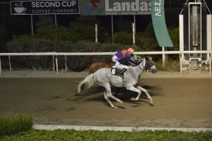 VENTO GENTLEMAN STK9556