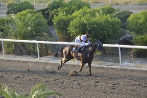 Φοβερός καλπασμός η Έμελιν! 2 ENISA 19.7.24 STK1604