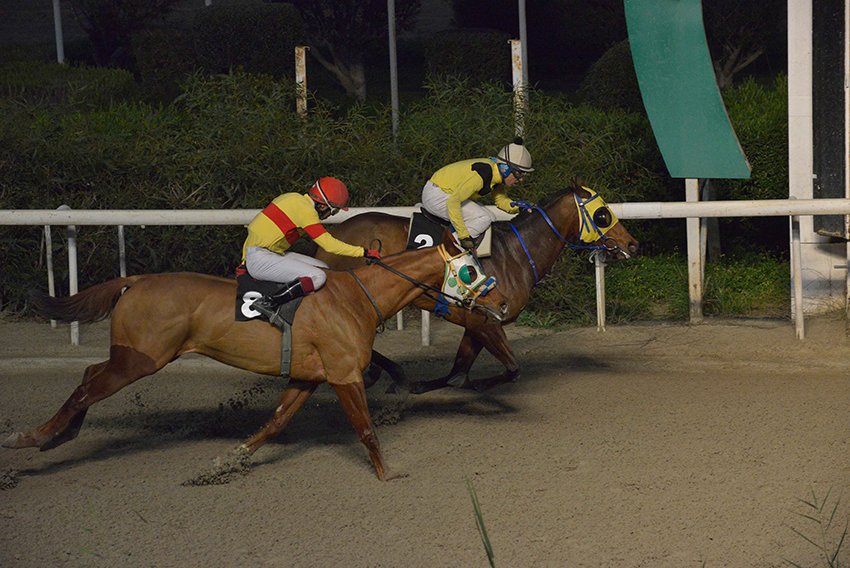 LADY EVA STK6914 WEB