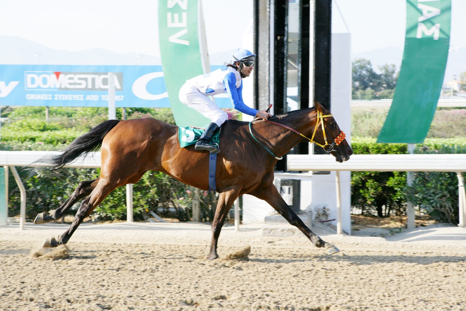 LAZAROS 7 170606 ςεβ scaled