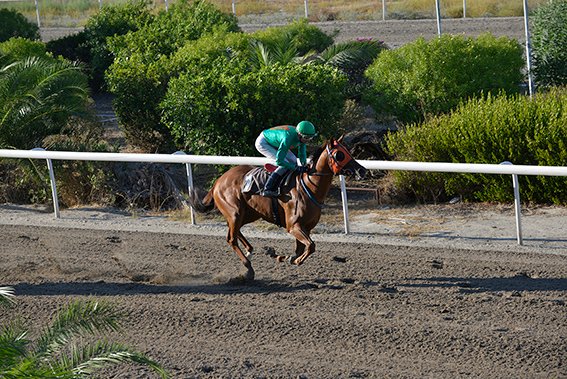 HAWAII AUTHORITY STK2319