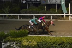 LOVING KATERINA 31.7.24 STK2247