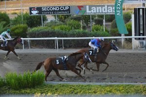 MILIOTIS OLMOS STK2341