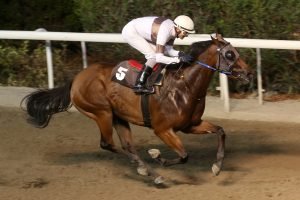 Ποιοτικές νίκες ο Πανίκος Ονουφρίου 3 ENISA IMG 6593