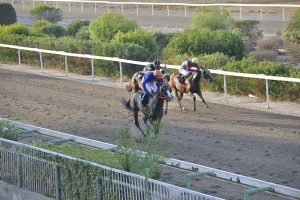 MITROKLIS 4.9.24 STK3147