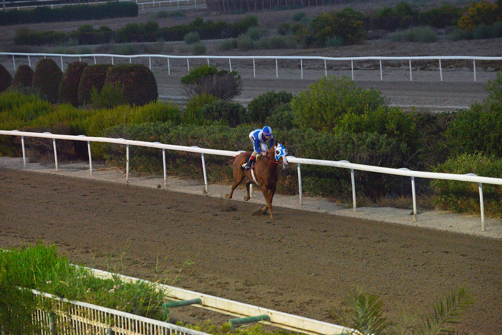 NICKOLAS THUNDERNIKOLAS THUNDER STK3762