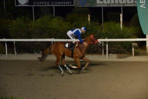 Συνεχίζουν ακάθεκτοι Νταν Χάϊτα - Κ. Καποδίστριας 5 PRINCE OLIVER STK3639