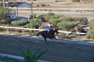 24 10 2024 at 08.07.31WINDOM 23.10.24 2