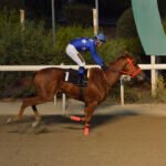 Γνωρίστε τον… Ανδρέα Σταυρινίδη 1 ANGE DAMOUR STK4395