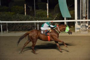 DIAMOND STELLARAS 23.10.24 STK4668