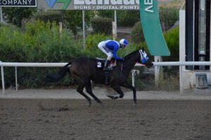 KAPETAN NIKOLAS STK4385