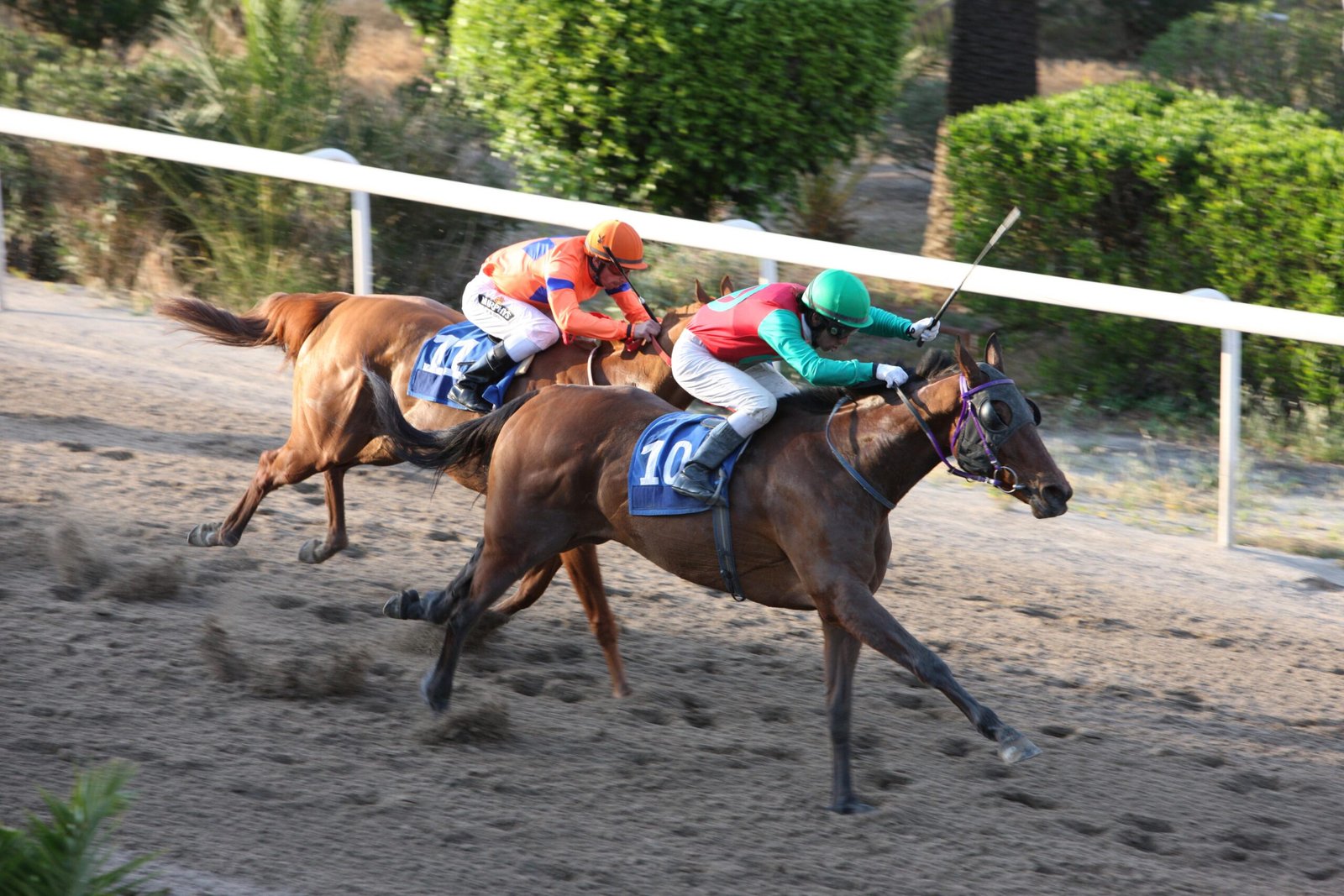 Διετή από κλασικές τοκάδες 1 MAGIA SANTI 4 130414 scaled