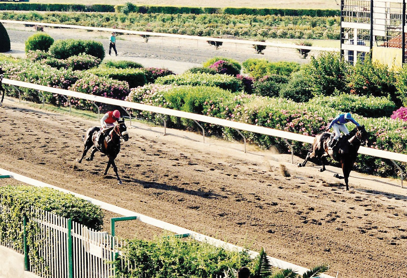 ςεβMikros Andronikos Kypello2000Guineas 0.7.06