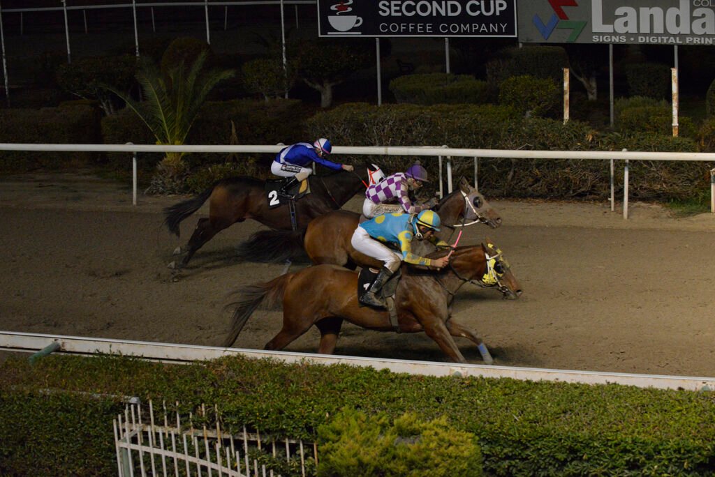 AMAZING SOTIA_STK5482