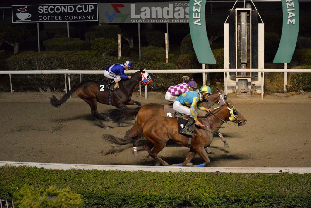 AMAZING SOTIA_STK5483