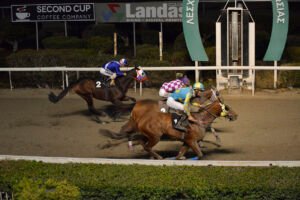 AMAZING SOTIA_STK5483