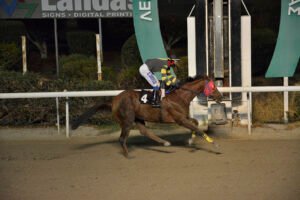 DIKAIOS 13.11.24_STK5282