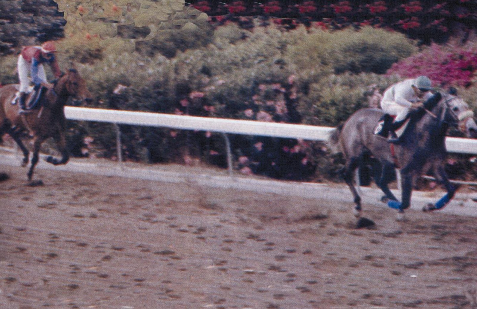 ELIASTAR ΚΥΠΕΛΛΟ ΑΜΑΘΟΥΝΤΟΣ