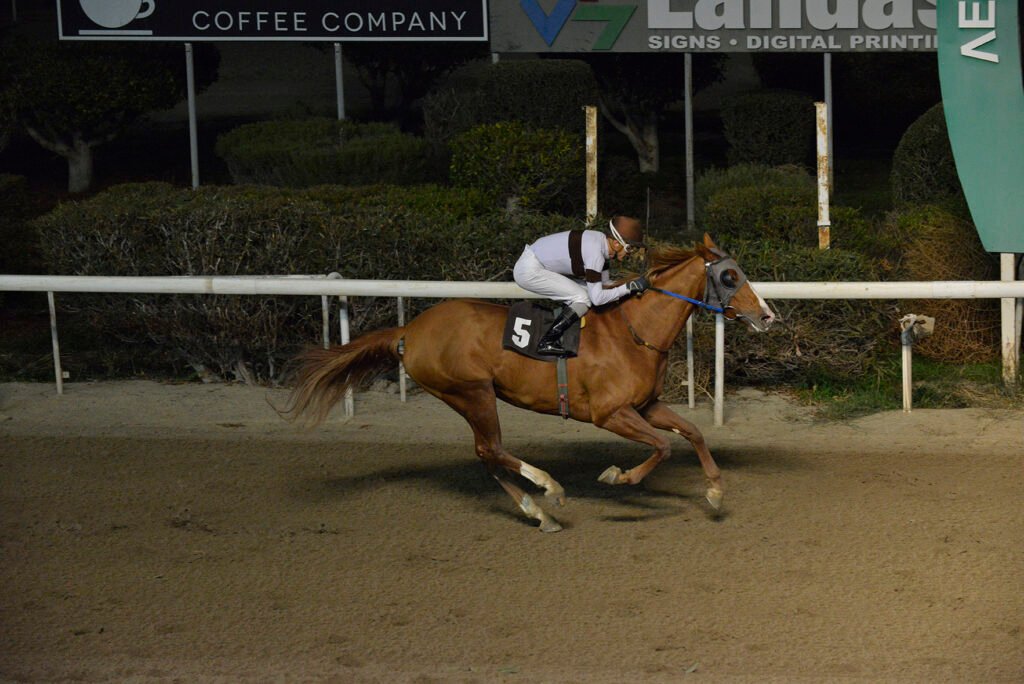 ENIA 24.11.24_STK5709