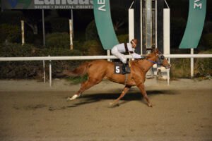 ENIA 24.11.24_STK5710