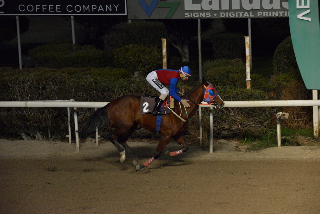 ERMIPPOS 24.11.24_STK5742