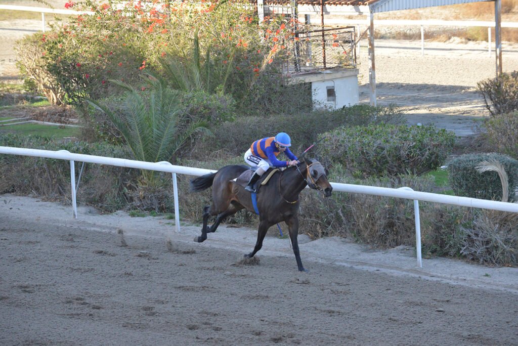 FLY AMIRA 24.11.24_STK5625