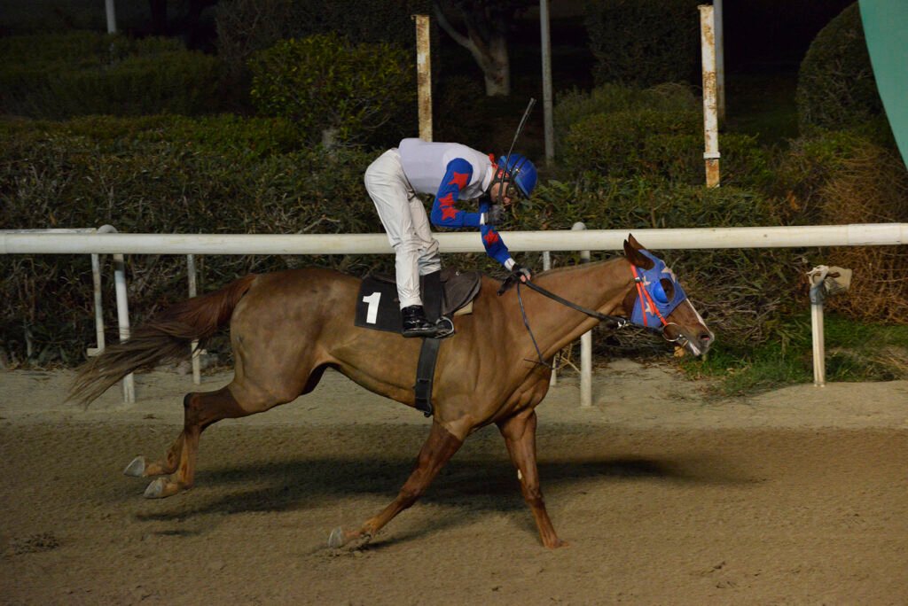 GREKIA 24.11.24_STK5717