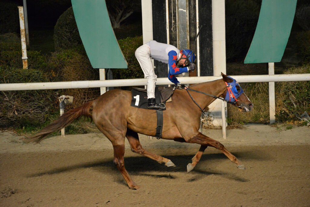 GREKIA 24.11.24_STK5718