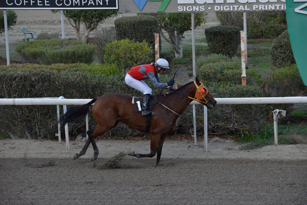 KATERINAKI ALINAKI_STK5437