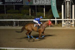 KINYRAS 2.11.24 STK4978