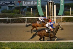 LEGEND ALEXIS_STK5183